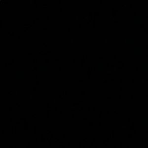 Meet your Posher, Chase